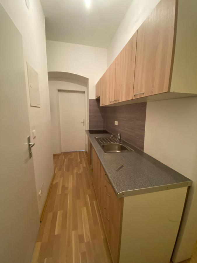 Niceapartmenthollergasse 8 Вена Экстерьер фото